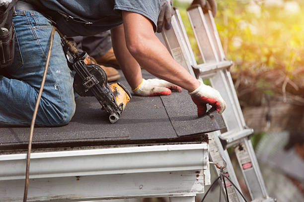 Best Roof Maintenance Services  in Hudson Lake, IN